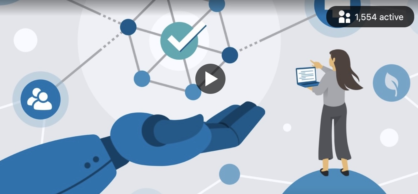 Responsible AI- Principles and Practical Applications course